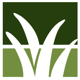 Oxnard Lawn Clean Up