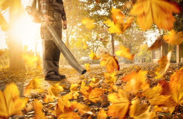 Leaf Blowing Service in Oxnard
