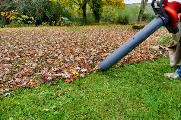 Leaf Vacuuming Service in Oxnard