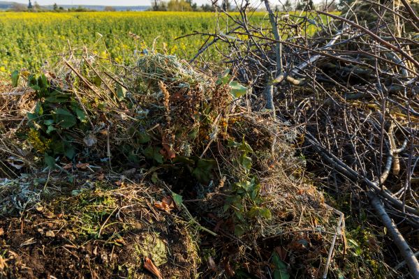 Brush Disposal in Oxnard