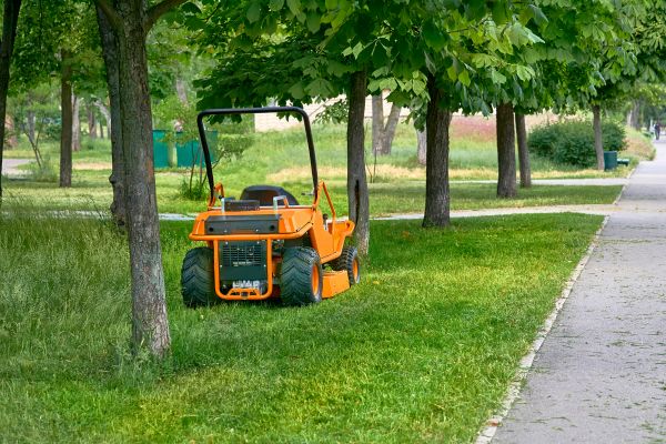 Landscaping Cleanup Service in Oxnard