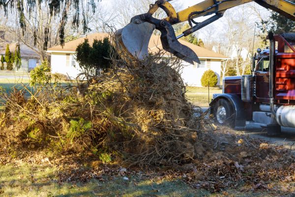 Storm Debris Removal in Oxnard