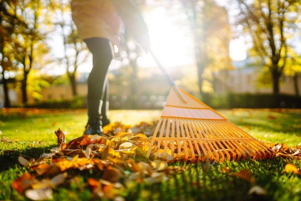 Leaf Sweeping