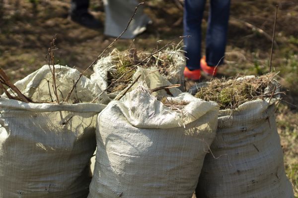 Brush Cleaning Service in Oxnard