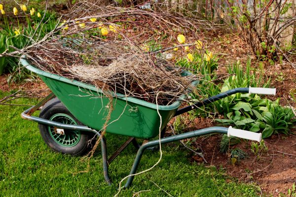 Lawn Waste Removal in Oxnard