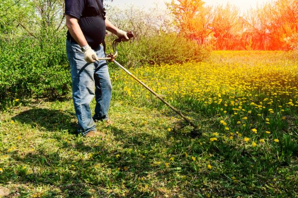 Cost of Yard Clearing Service in Oxnard