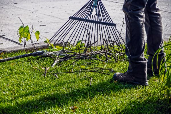 Yard Debris Cleanup in Oxnard