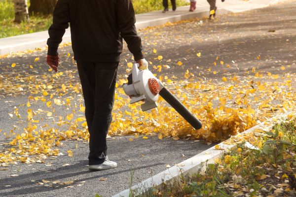 Commercial Leaf Removal in Oxnard