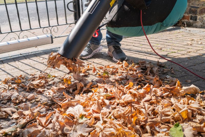 Leaf Blowing in Progress