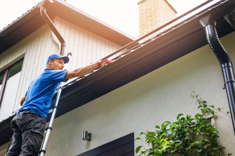 Gutter & Pathway Maintenance