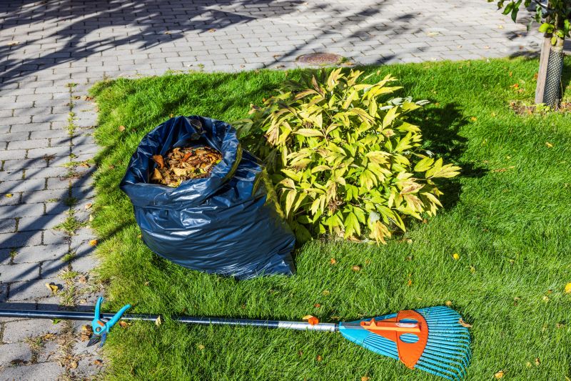 Lawn debris removal in spring