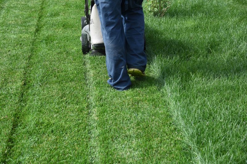 Spring lawn preparation